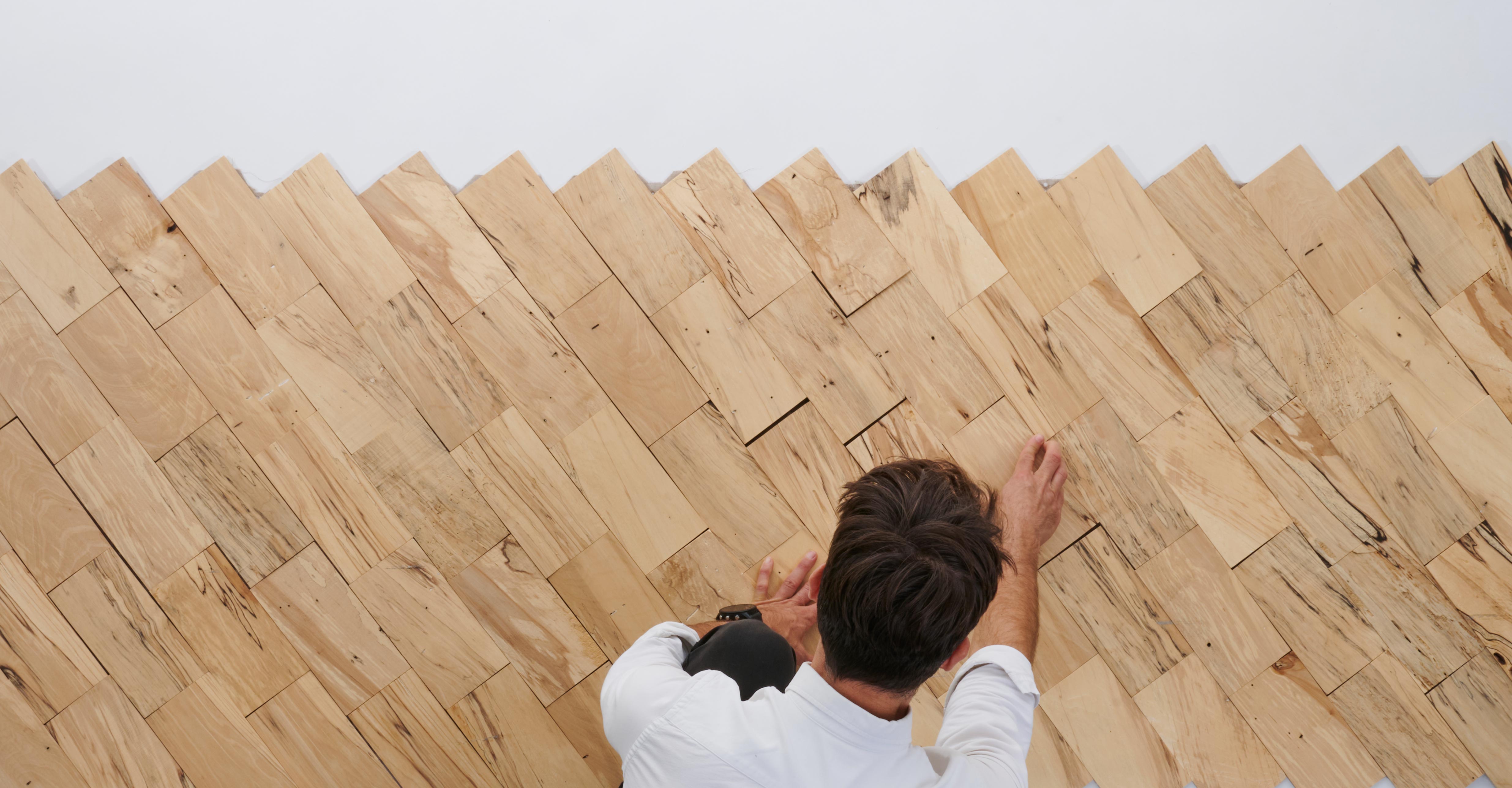 Thermal modulation through Poplar wood density organisation