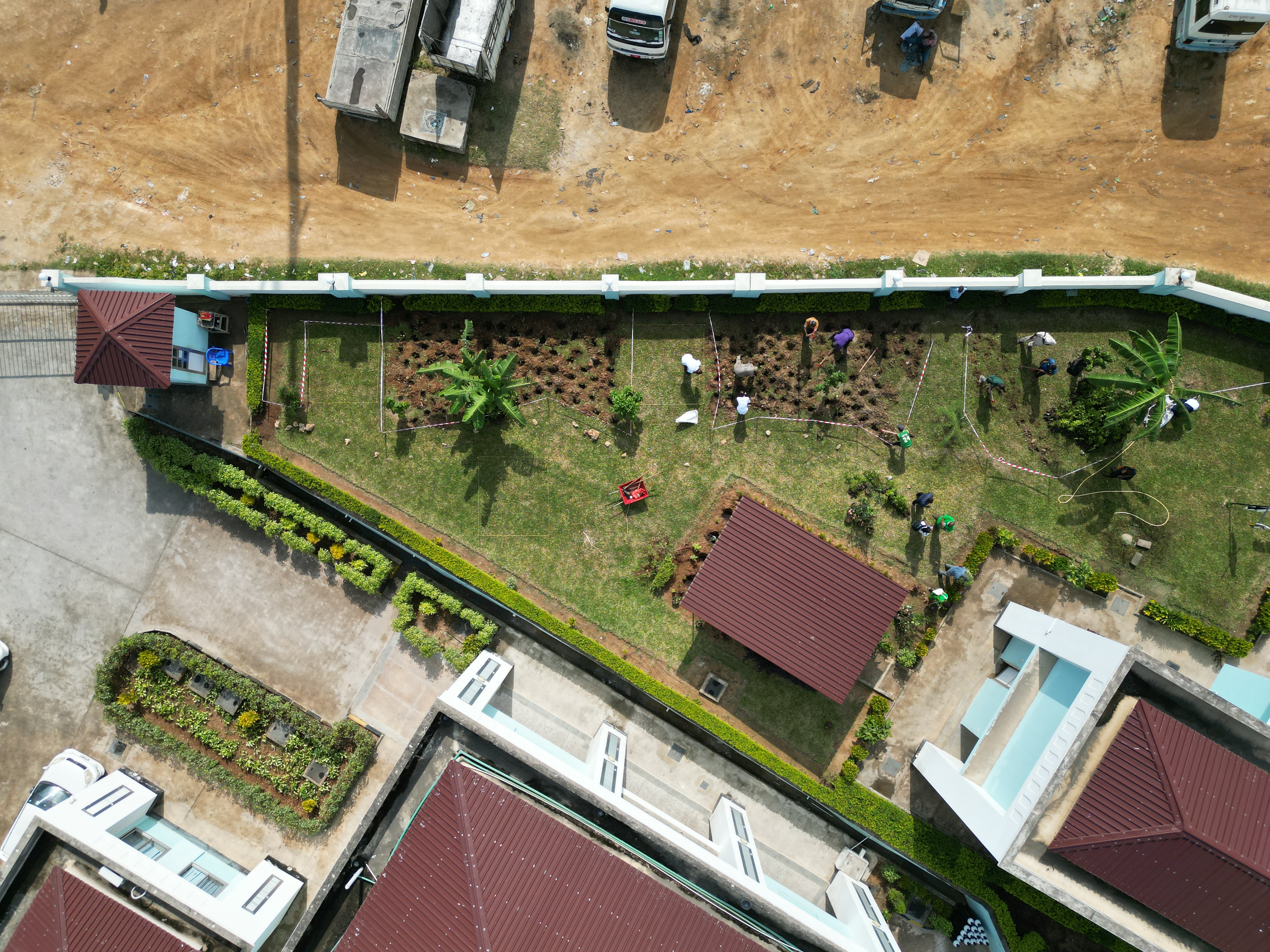 Hospital staff and volunteers planting waiting gardens