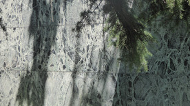 Detalje af Barcelona-pavillonen af Mies van der Rohe