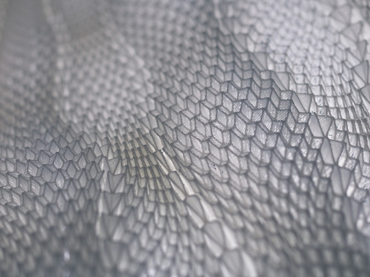 Close-up of a grey, translucent structure with a repeating geometric pattern of small, angular shapes.