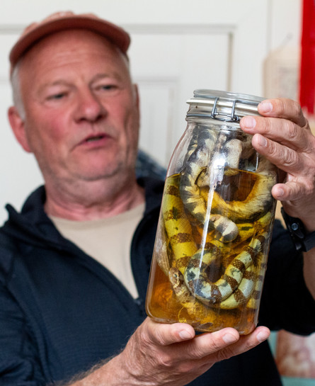 Person holder glas med konserveret slange i væske