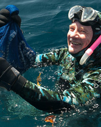 Catching sea snakes
