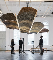 Rhizaerial