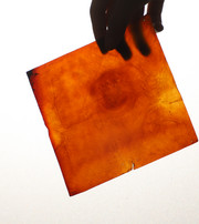 Hånd holder en gennemsigtig orange biomaterialeplade mod lys.