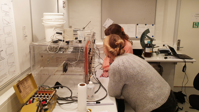 Laboratorium