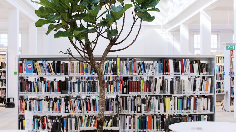 Biblioteket