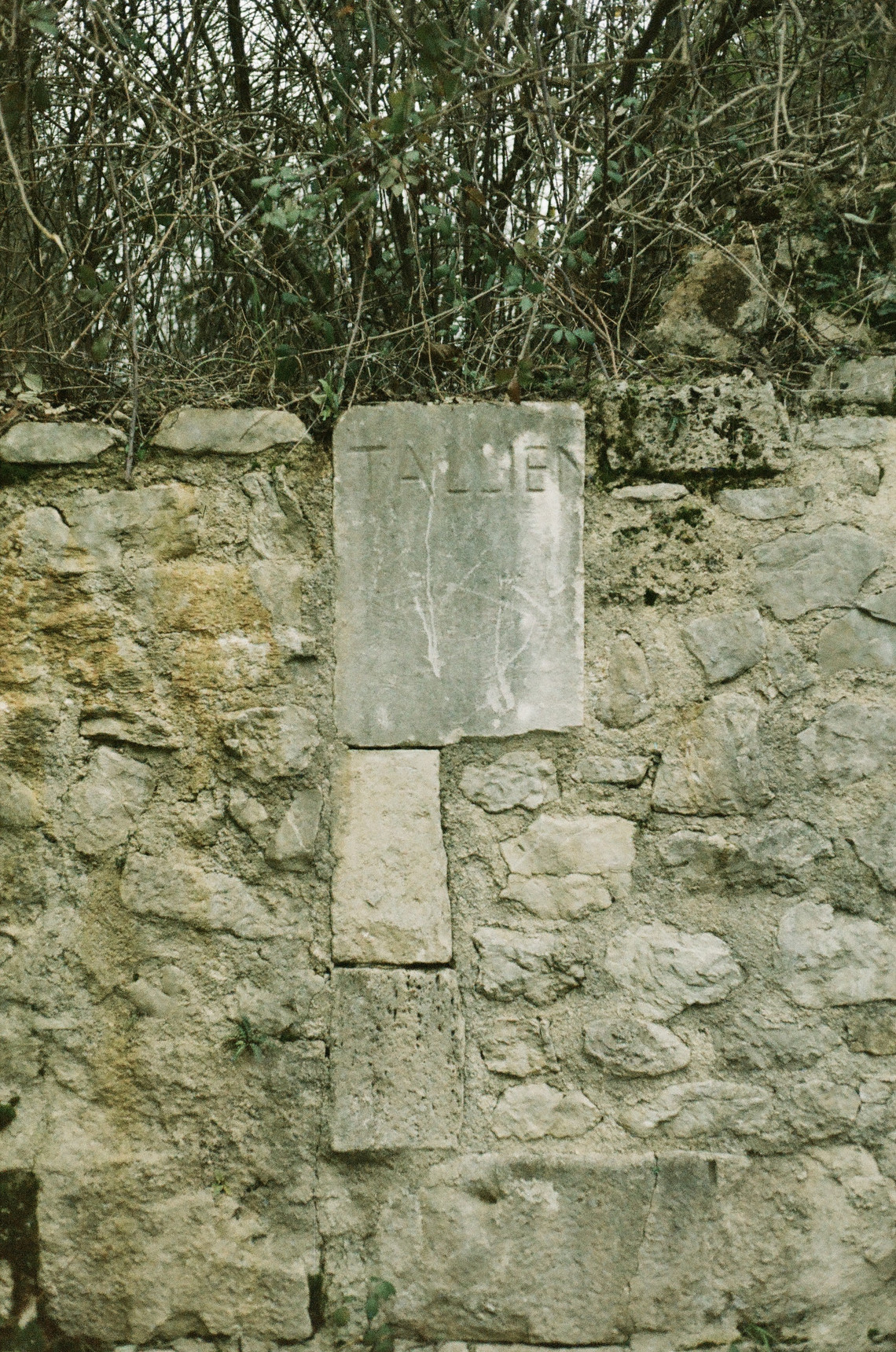 Spolia