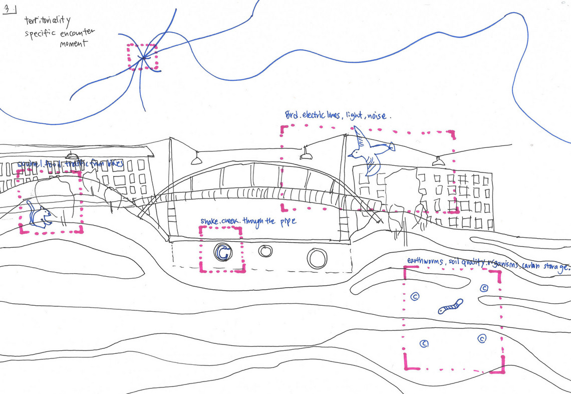 Sketch_Invisible Potential of Habitats