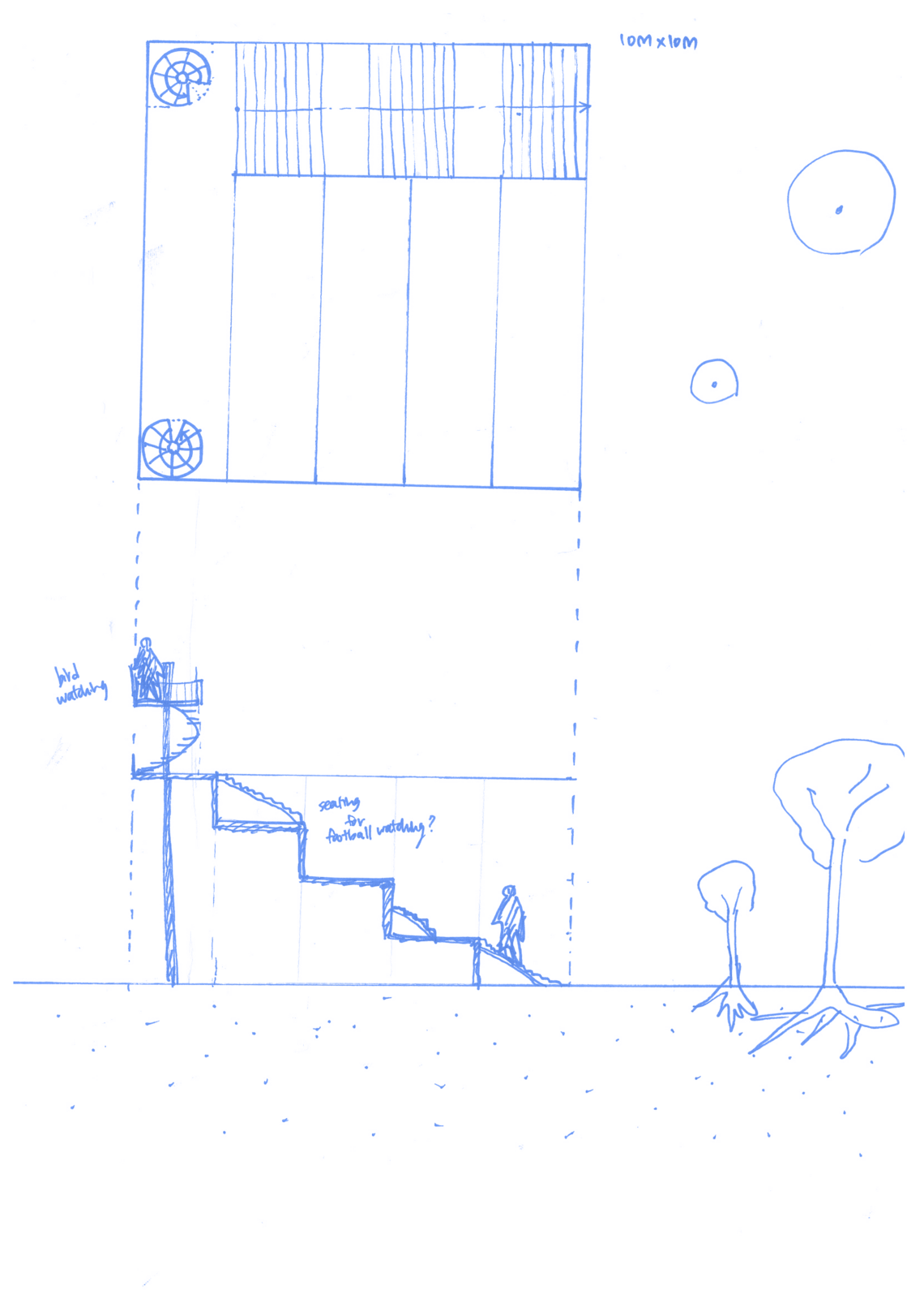 Sketch_section of seating/bird watching