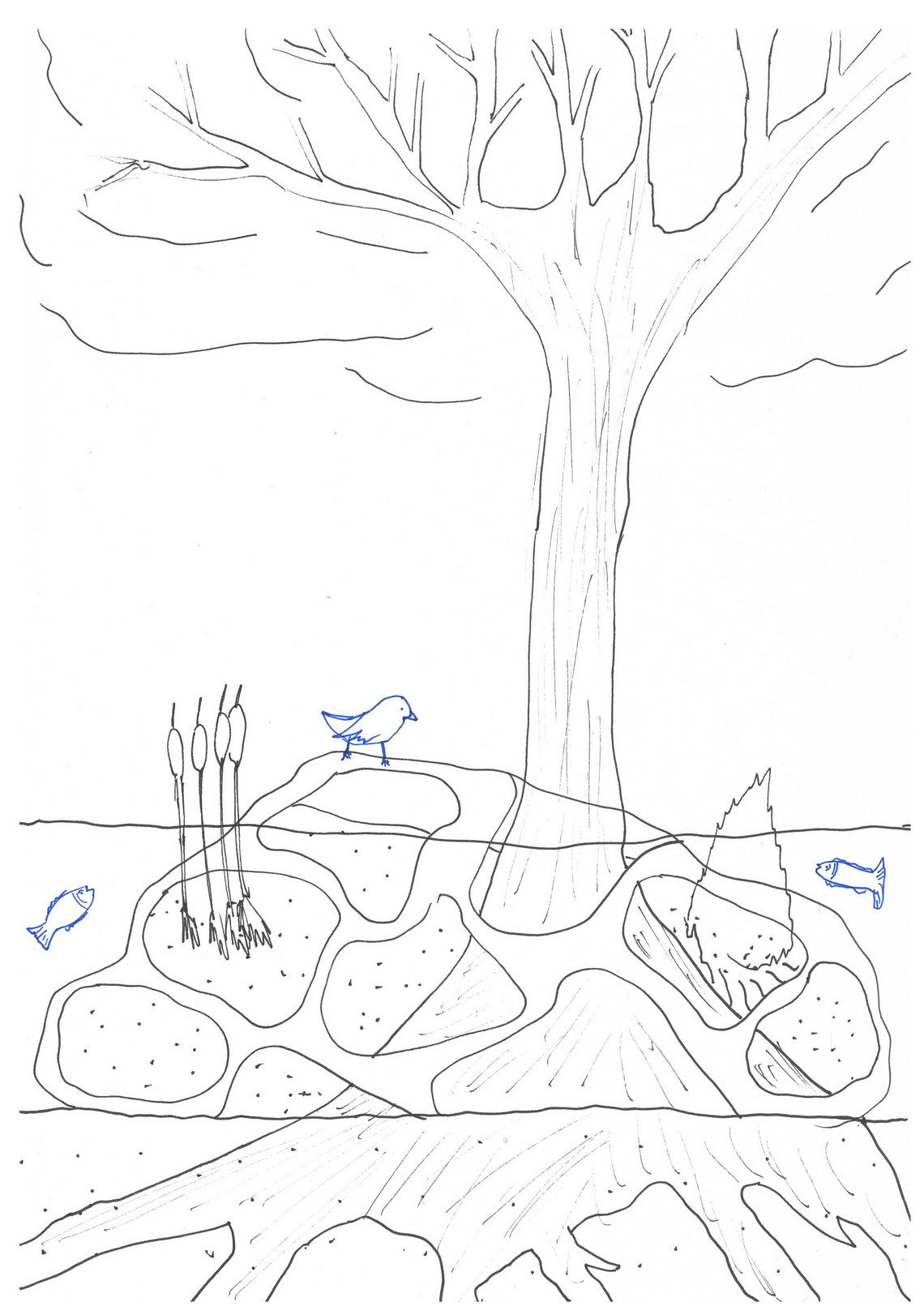 Sketch_section of floating bird island 2