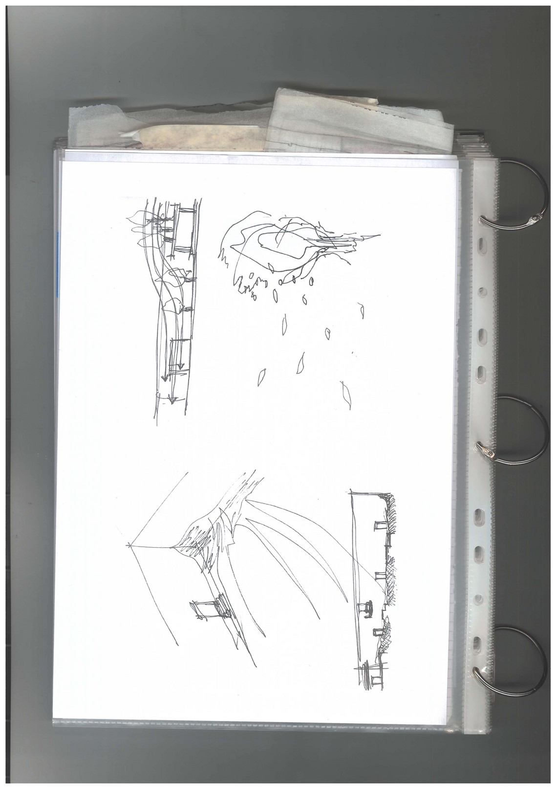 Proces_28