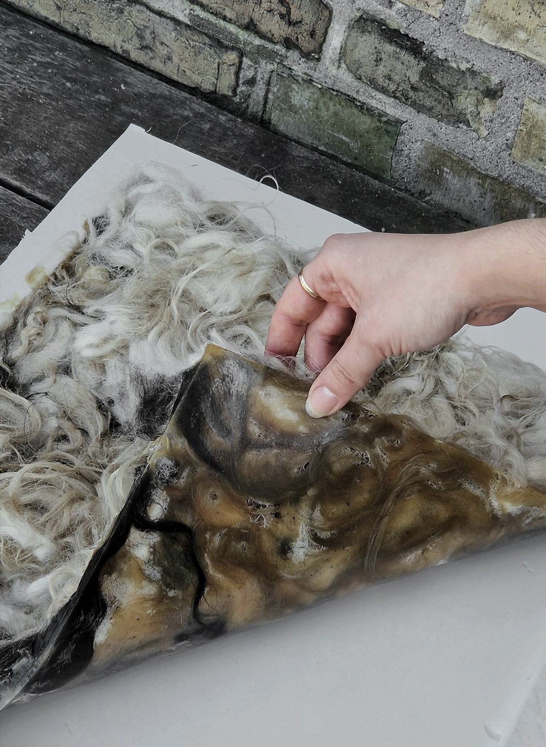 Hand holding a translucent material sample with embedded fibers on wool.