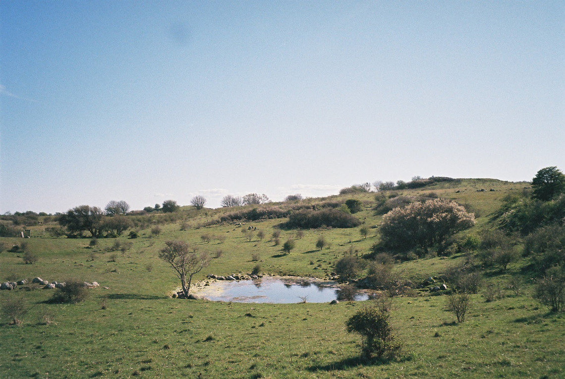 nature