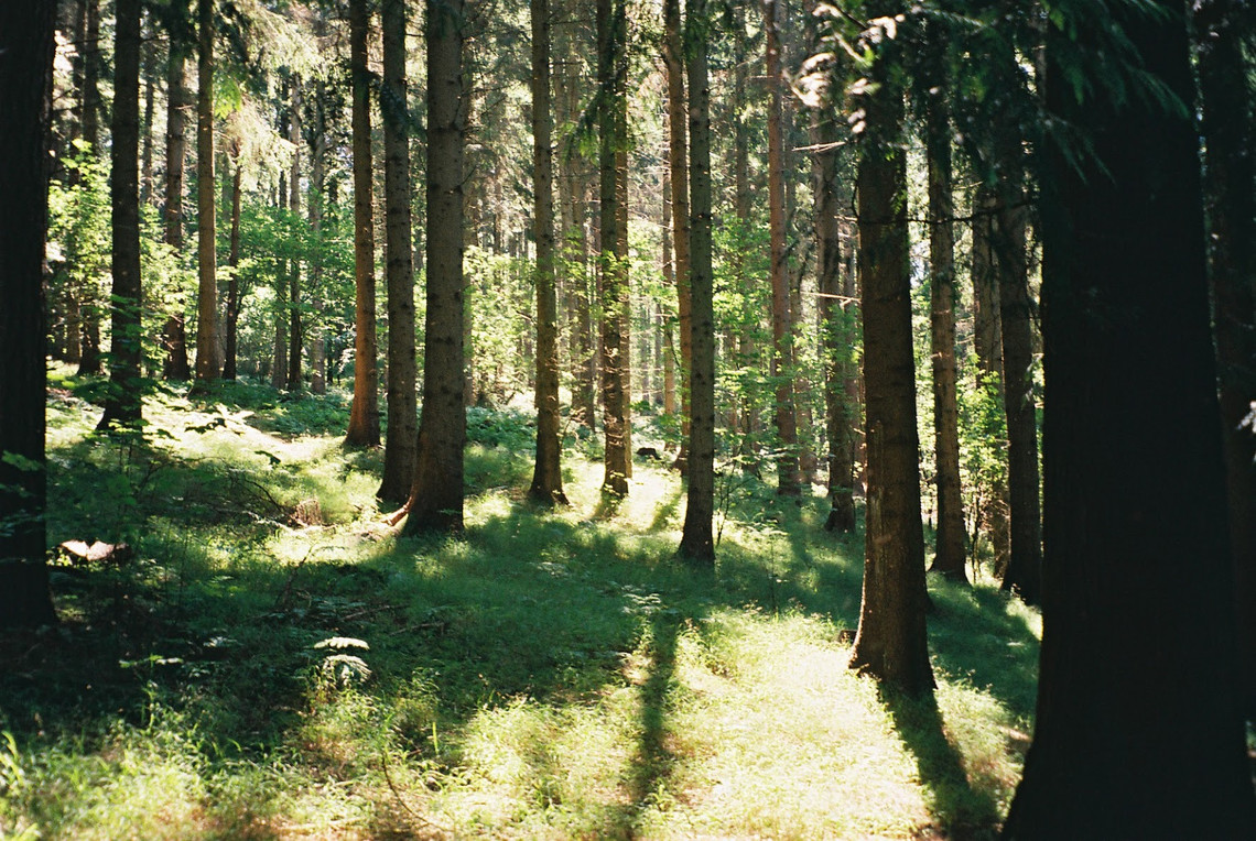 nature