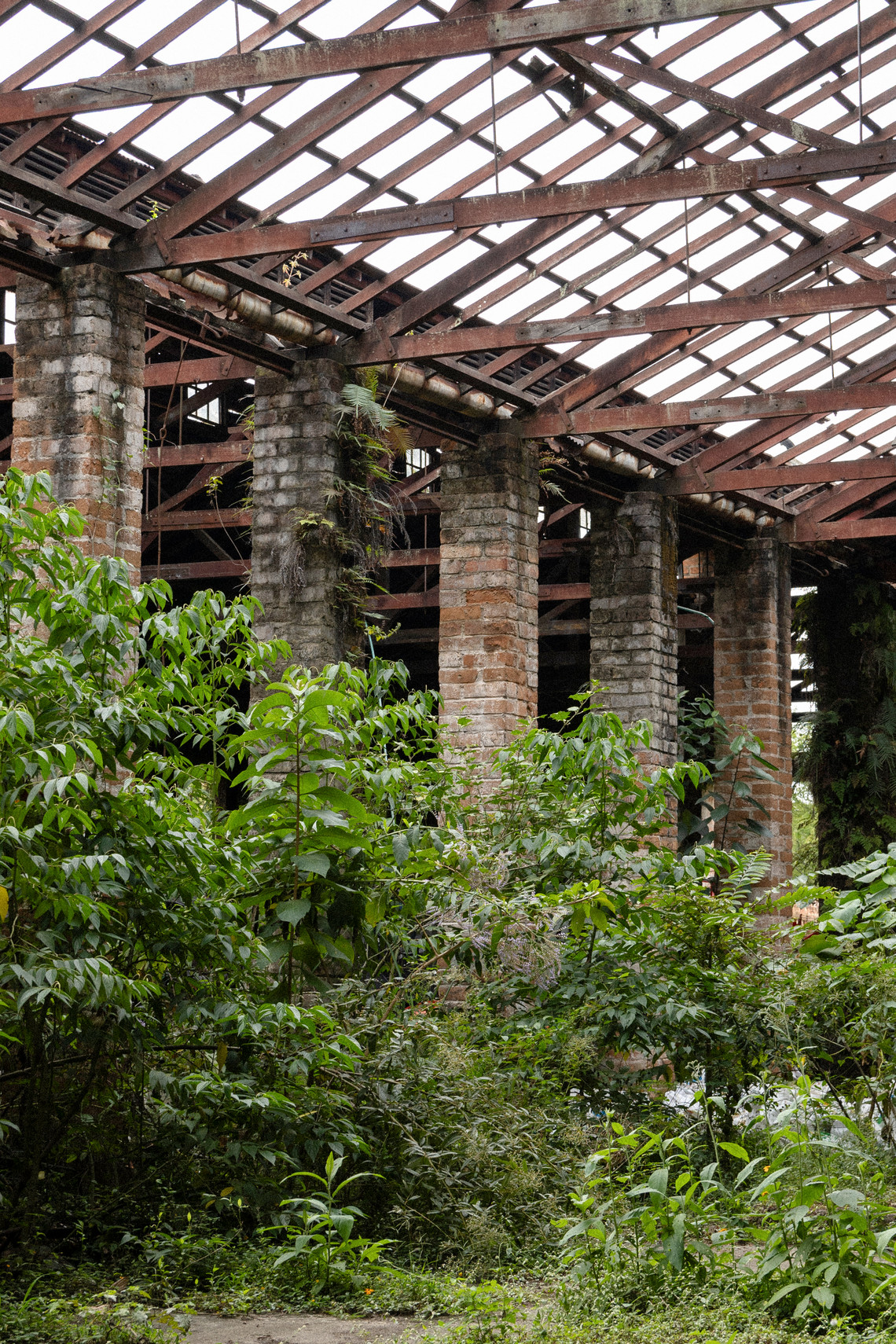 Interior photo of exisiting abandoned building