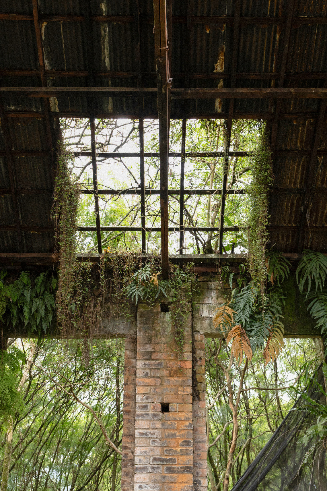 Interior photo of exisiting abandoned building