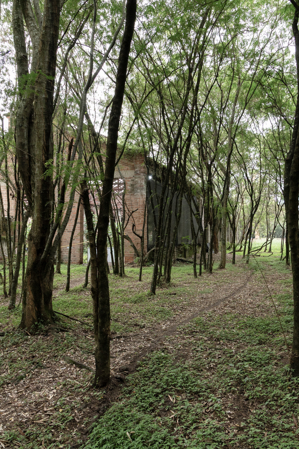 Interior photo of exisiting abandoned building