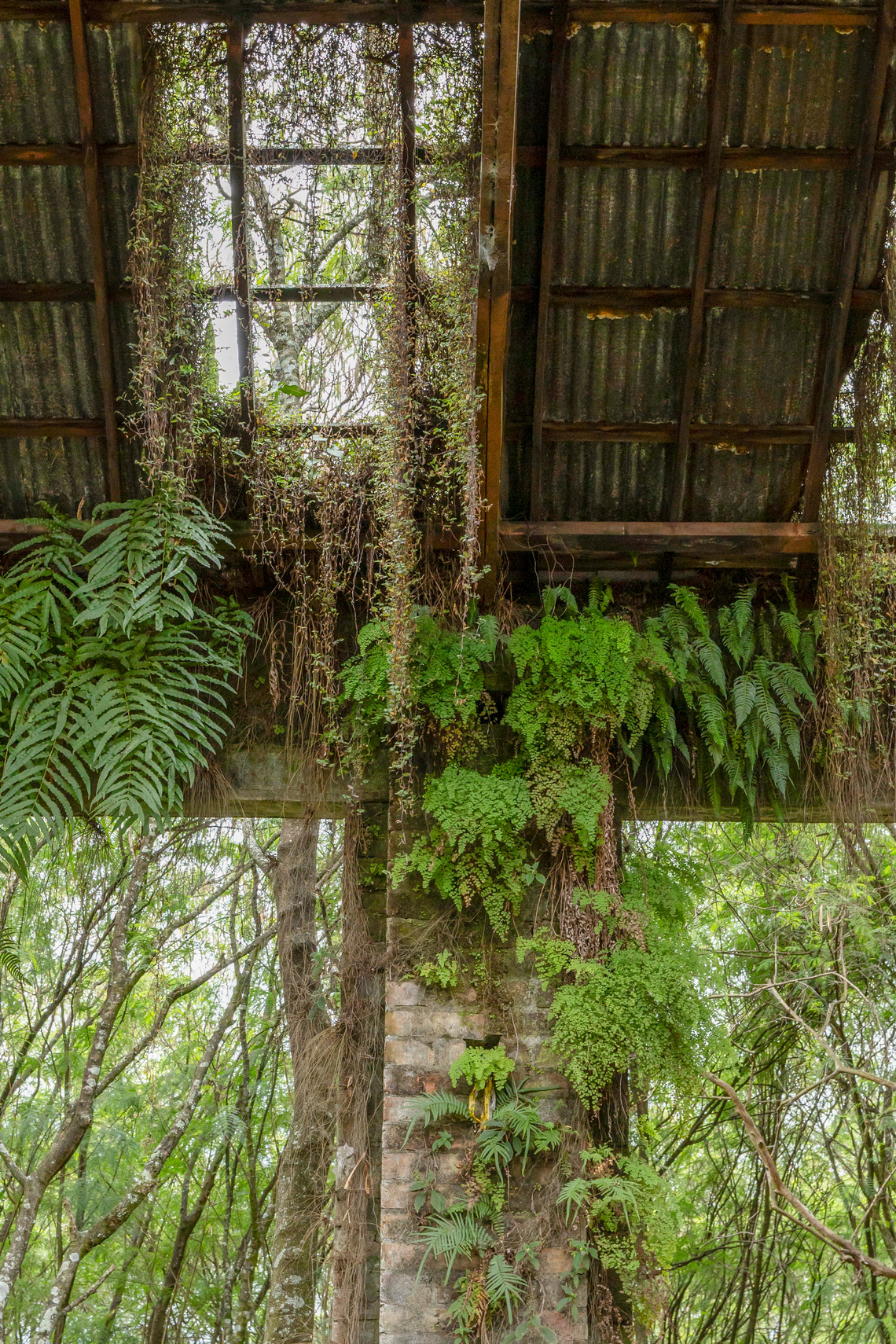 Interior photo of exisiting abandoned building