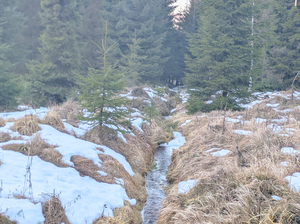 Georgenfelder Hochmoor