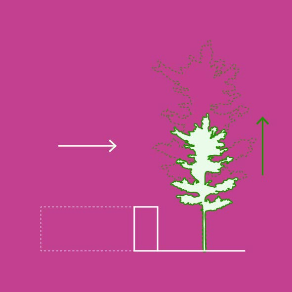 Design diagram 