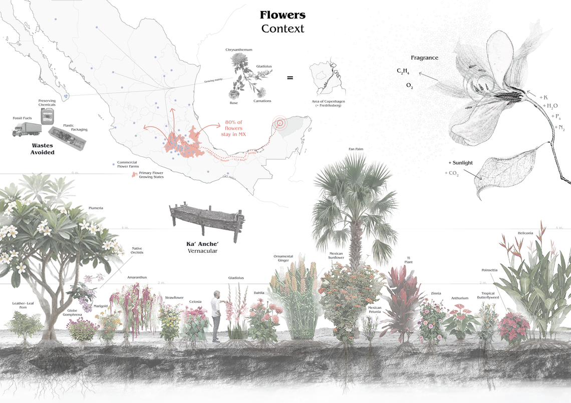Diagram illustrating the context of flowers in Merida