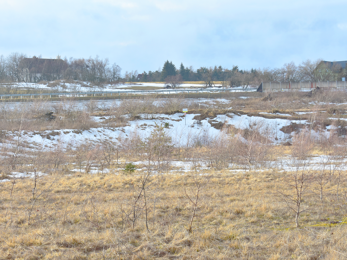 Subsided Grounds