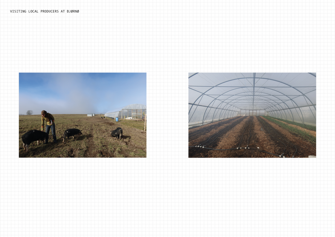Fieldwork: Visiting local producers