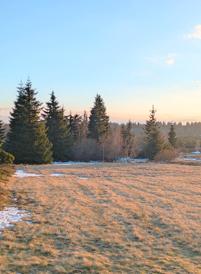 Open Landscape