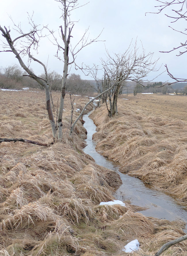 UNESCO protected Stream