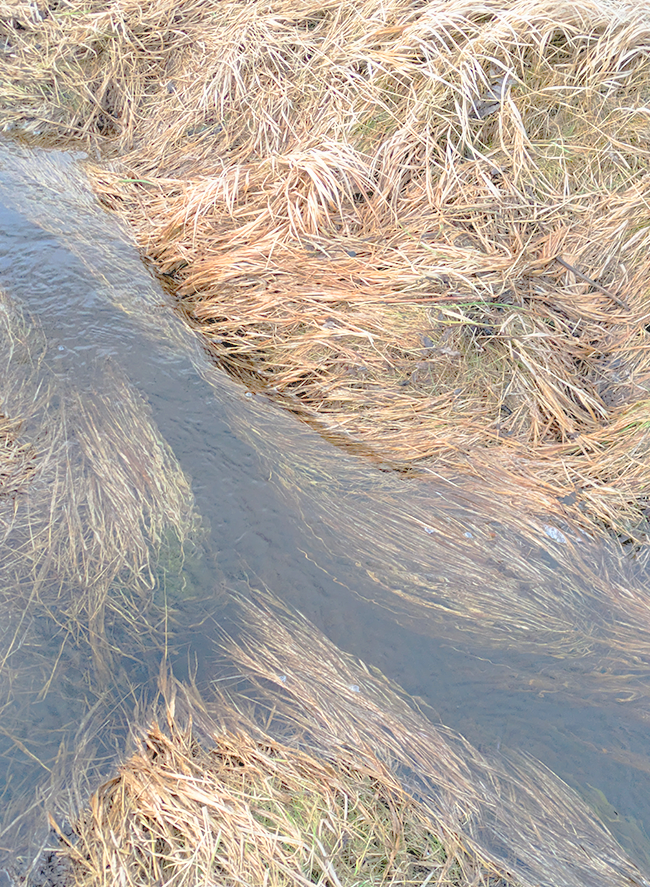 Spontaneous Waterbodies