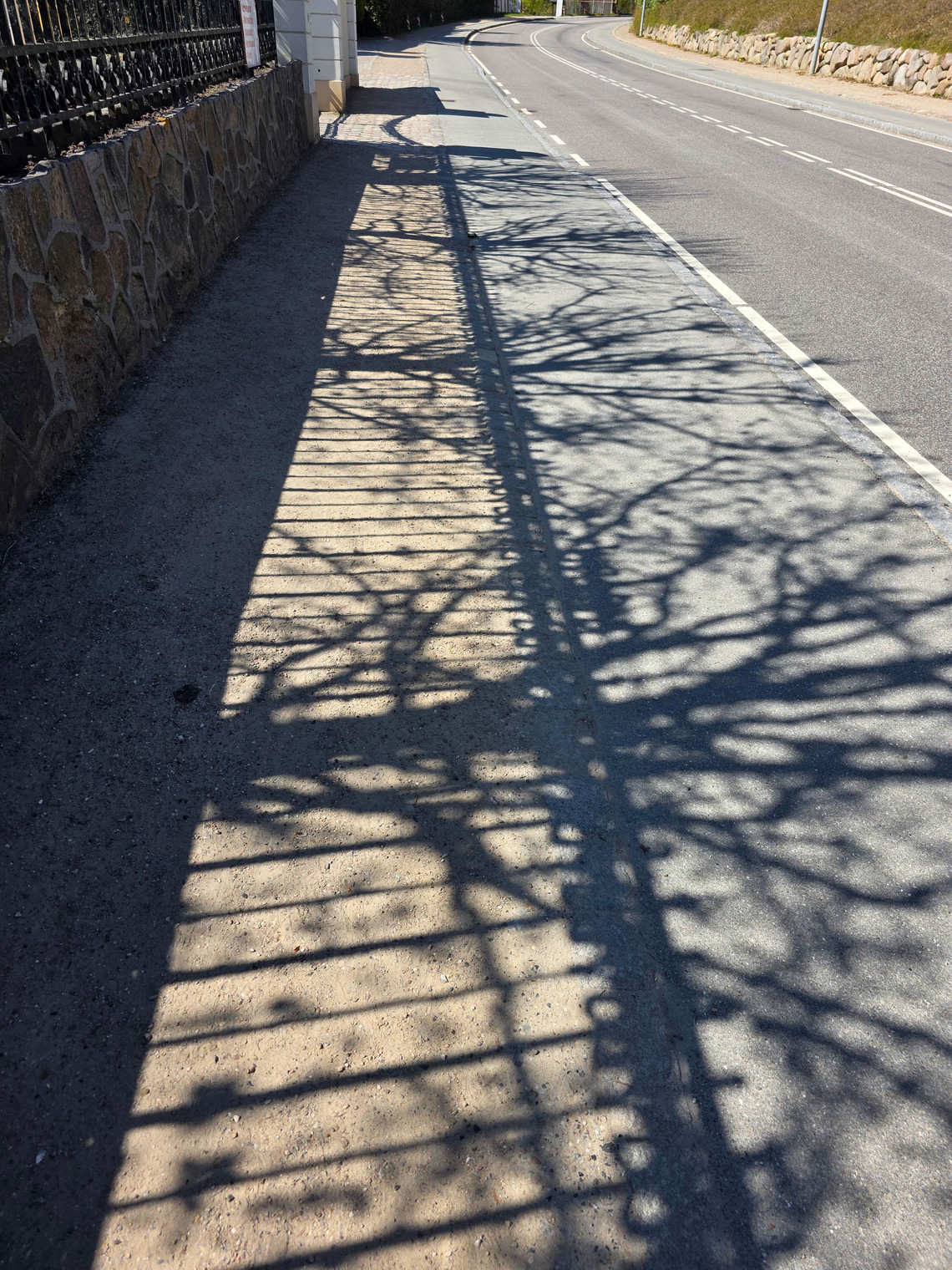 Shadows from fence on pavement