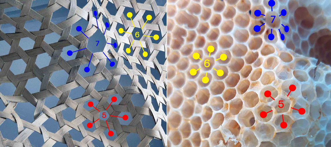 Topology of weave and beehive