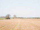 Site photo 6 - Large open fields