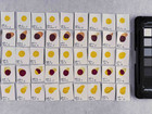 Benzimidazolone yellow in concentration a, after treatment