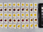 Benzimidazolone yellow in concentration b, after treatment