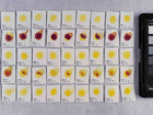 Benzimidazolone yellow in concentration c, after treatment