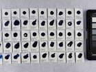 Cobber phthalocyanine blue in concentration b, after treatment