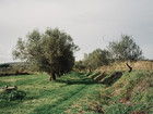 Landskab