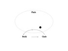 Diagram : Plads, butik & gade