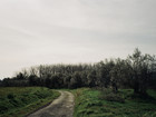 Landskab