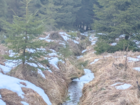 Protected Nature: Georgenfelder Hochmoor