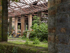 Interior photo of exisiting abandoned building