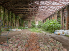 Interior photo of exisiting abandoned building