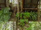 Interior photo of exisiting abandoned building