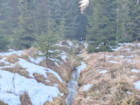 Georgenfelder Hochmoor