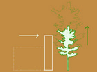 Diagram for site