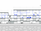 Longitudinal Section