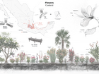 Diagram illustrating the context of flowers in Merida