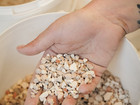Hand holding crushed ceramic fragments over a bucket.
