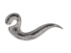 Symbol of a long, curly tail